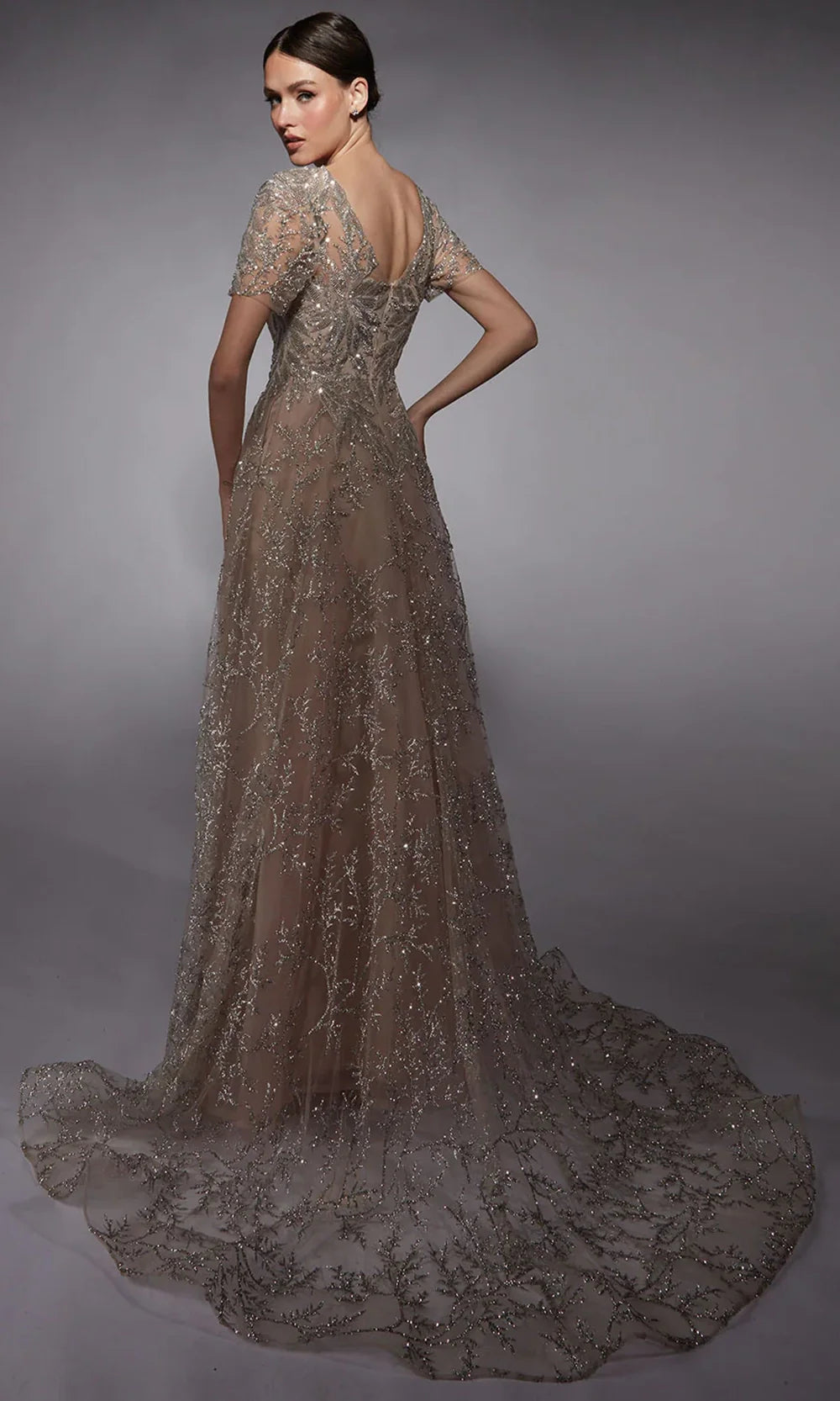 Alyce Paris 27726 - Illusion Bateau Glitter Evening Dress Mother of the Bride Dresses