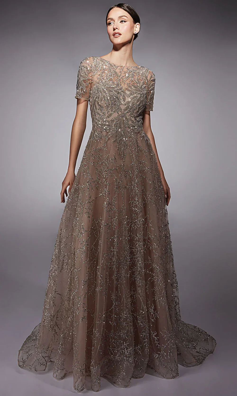 Alyce Paris 27726 - Illusion Bateau Glitter Evening Dress Mother of the Bride Dresses