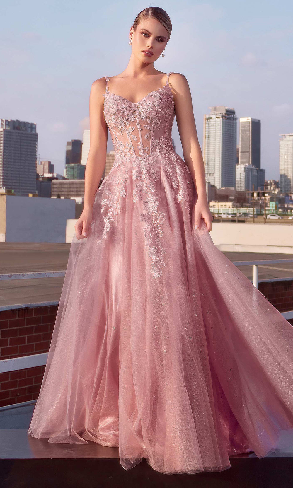 Ladivine CDS533 - Long A-Line Dress