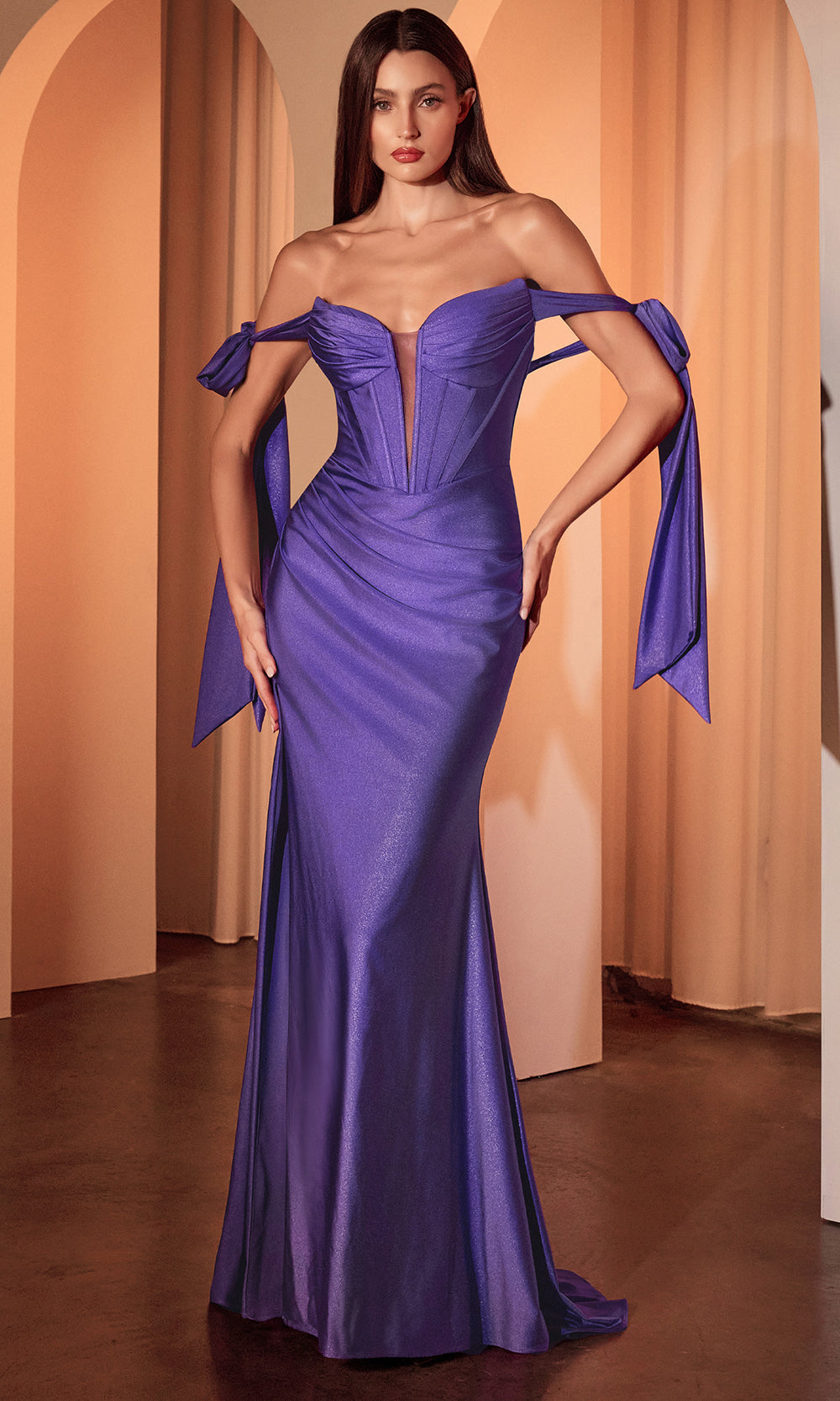 basque purple dress Ball Gown with Corset Bodice and Basque Waist