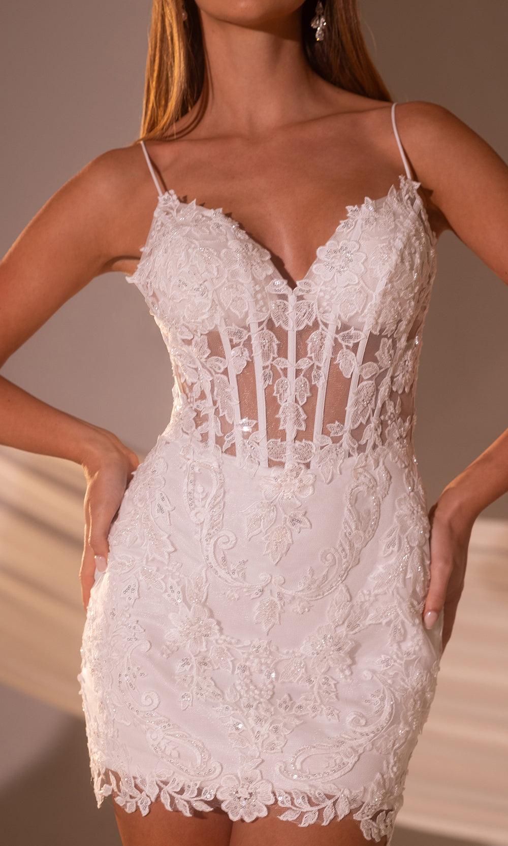 Rachel Allan RB1007 - Sheer Bodice Embroidered Dress Cocktail Dresses