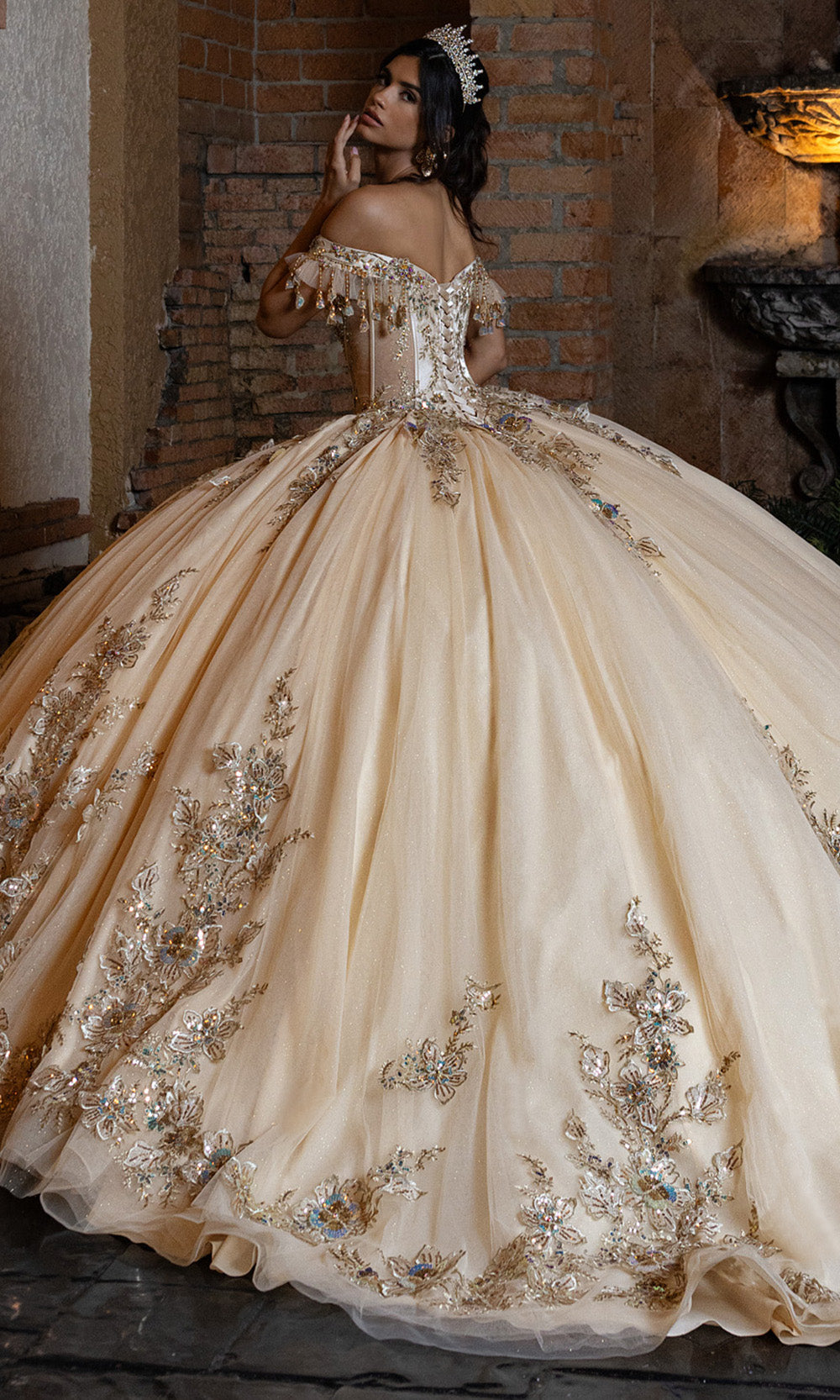 Rachel Allan RQ2228 - Glitter Quince Gown with Applique Quinceanera Dresses