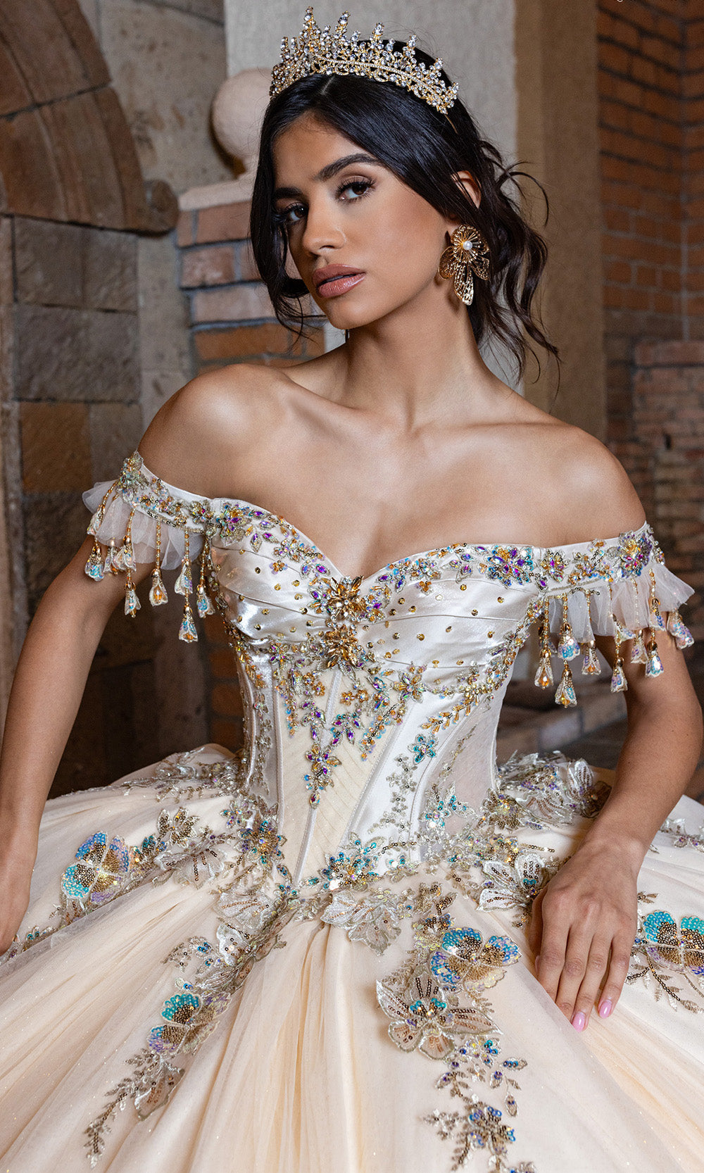 Rachel Allan RQ2228 - Glitter Quince Gown with Applique Quinceanera Dresses