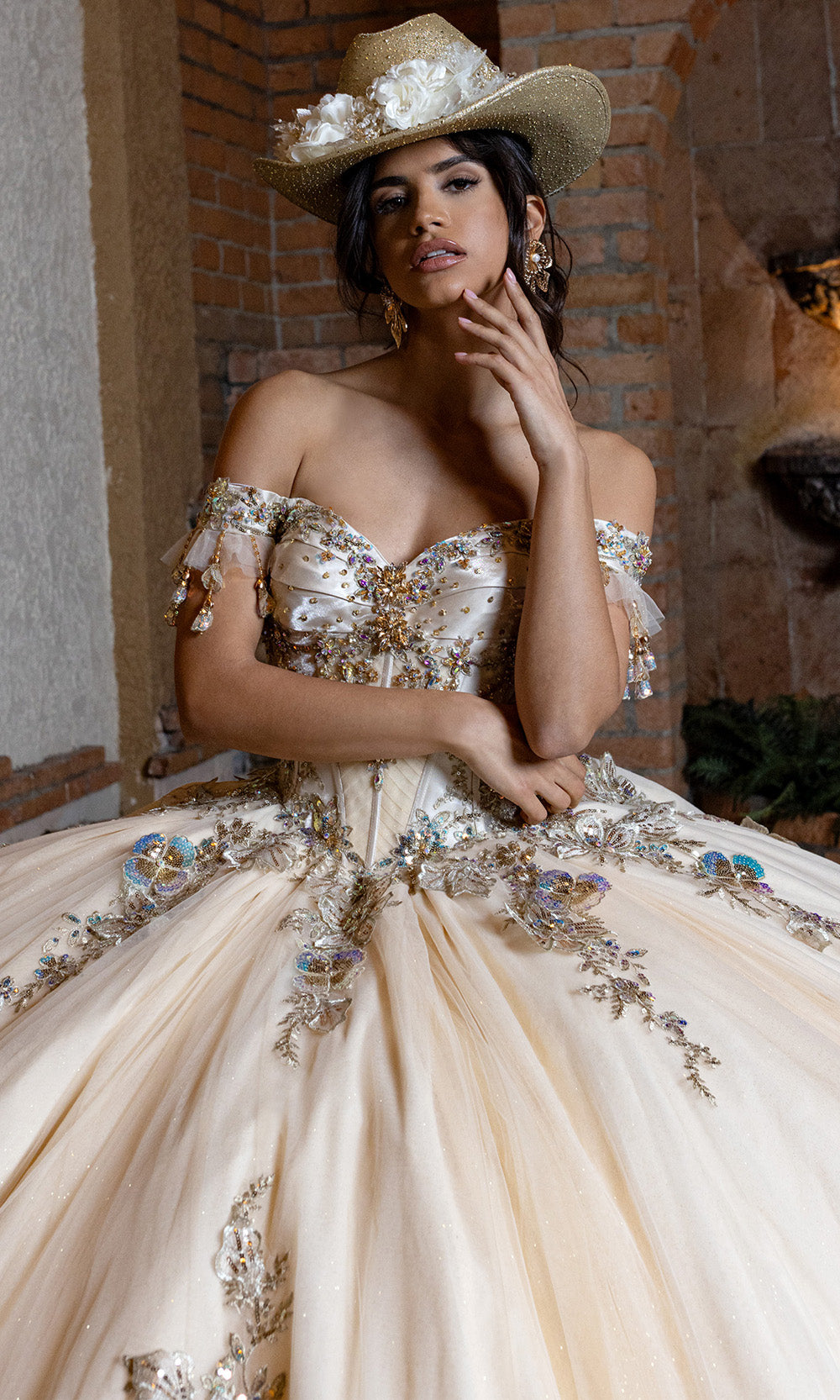 Rachel Allan RQ2228 - Glitter Quince Gown with Applique Quinceanera Dresses