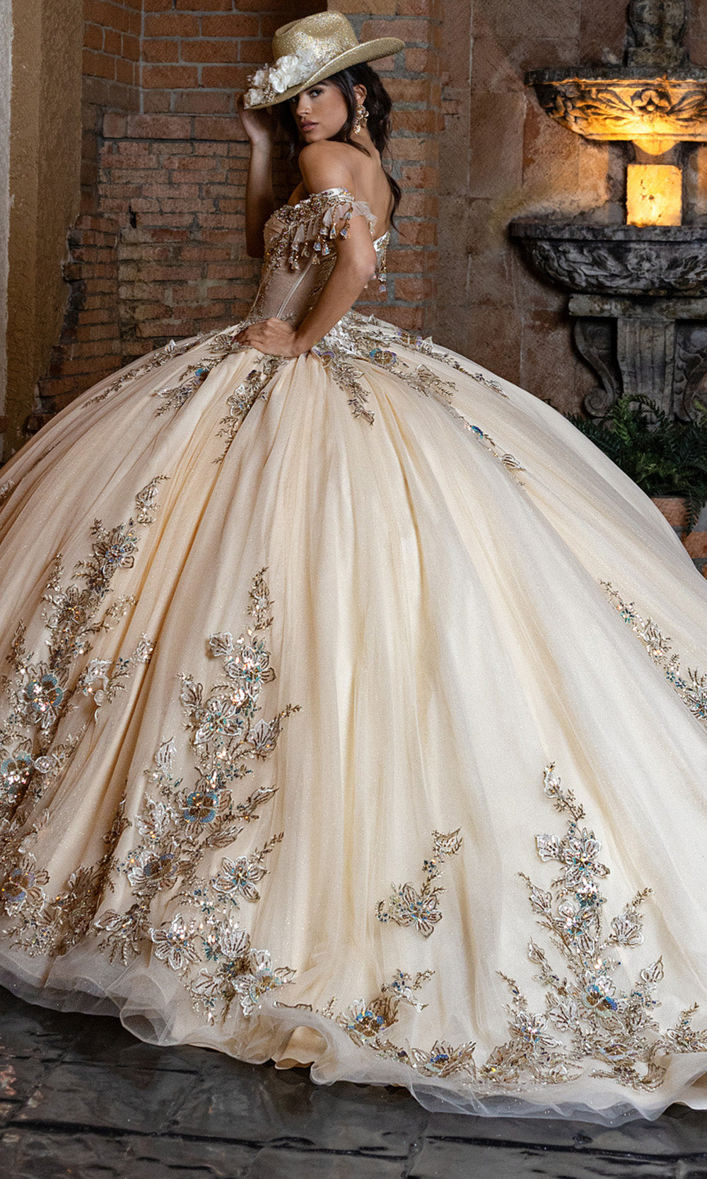 Rachel Allan RQ2228 - Glitter Quince Gown with Applique Quinceanera Dresses