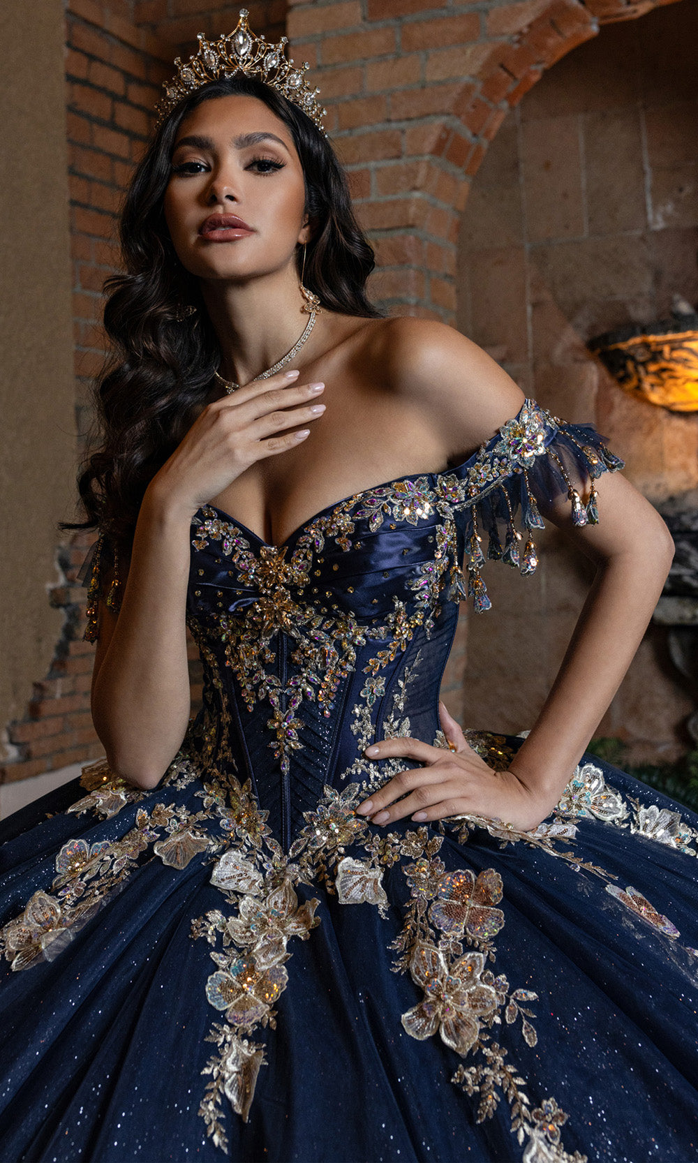 Rachel Allan RQ2228 - Glitter Quince Gown with Applique Quinceanera Dresses