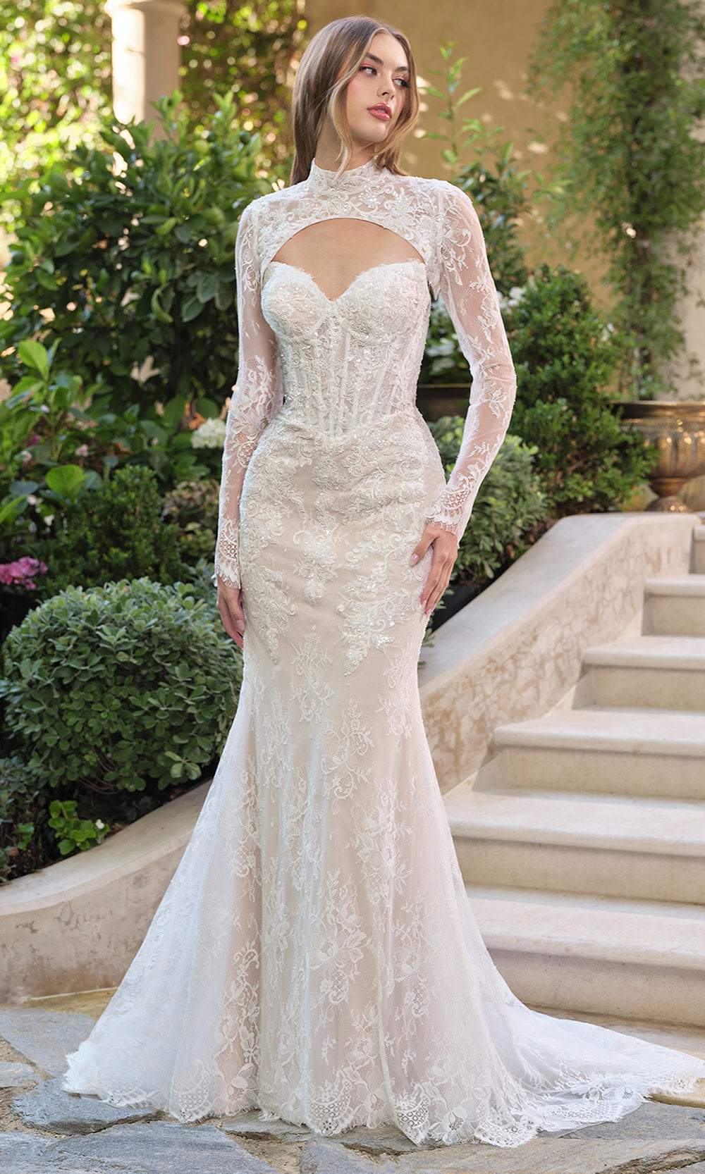 Andrea and Leo WL071 - Long Beaded Lace Overlay With Soft Nude Underlay Mermaid Dress