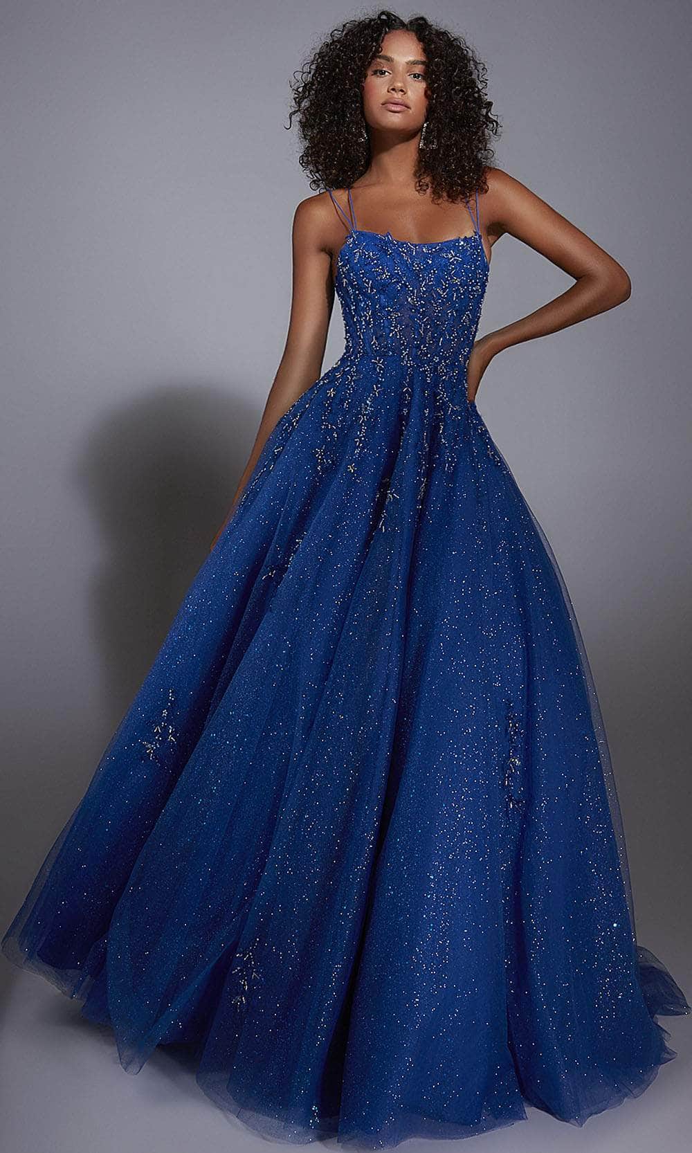 Alyce Paris 61824 - Sleeveless Sparkling Tulle Ballgown Prom Dresses