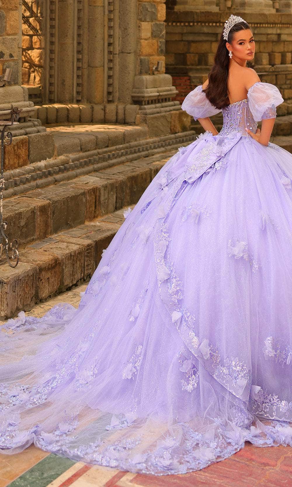 Amarra 54242 - Embroidered Strapless Ballgown Quinceanera Dresses