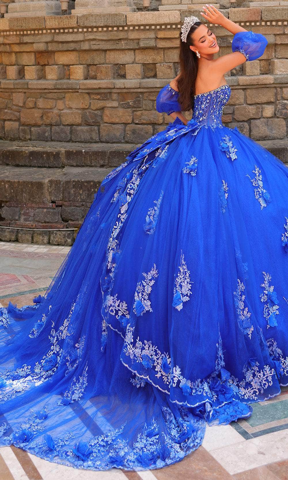 Amarra 54242 - Embroidered Strapless Ballgown Quinceanera Dresses