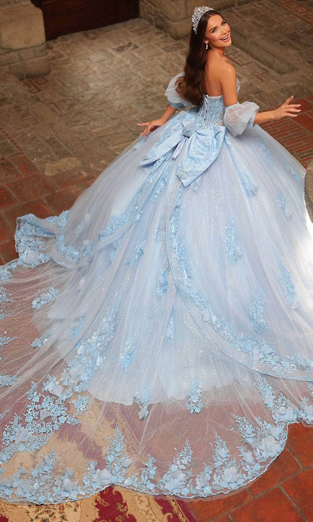 Amarra 54242 - Embroidered Strapless Ballgown Quinceanera Dresses