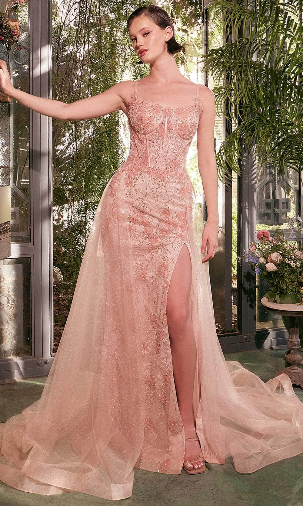 Andrea and Leo A1382 Prom Dress - Blush | NewYorkDress Andrea and Leo A1382 Prom Dress - Blush | NewYorkDress