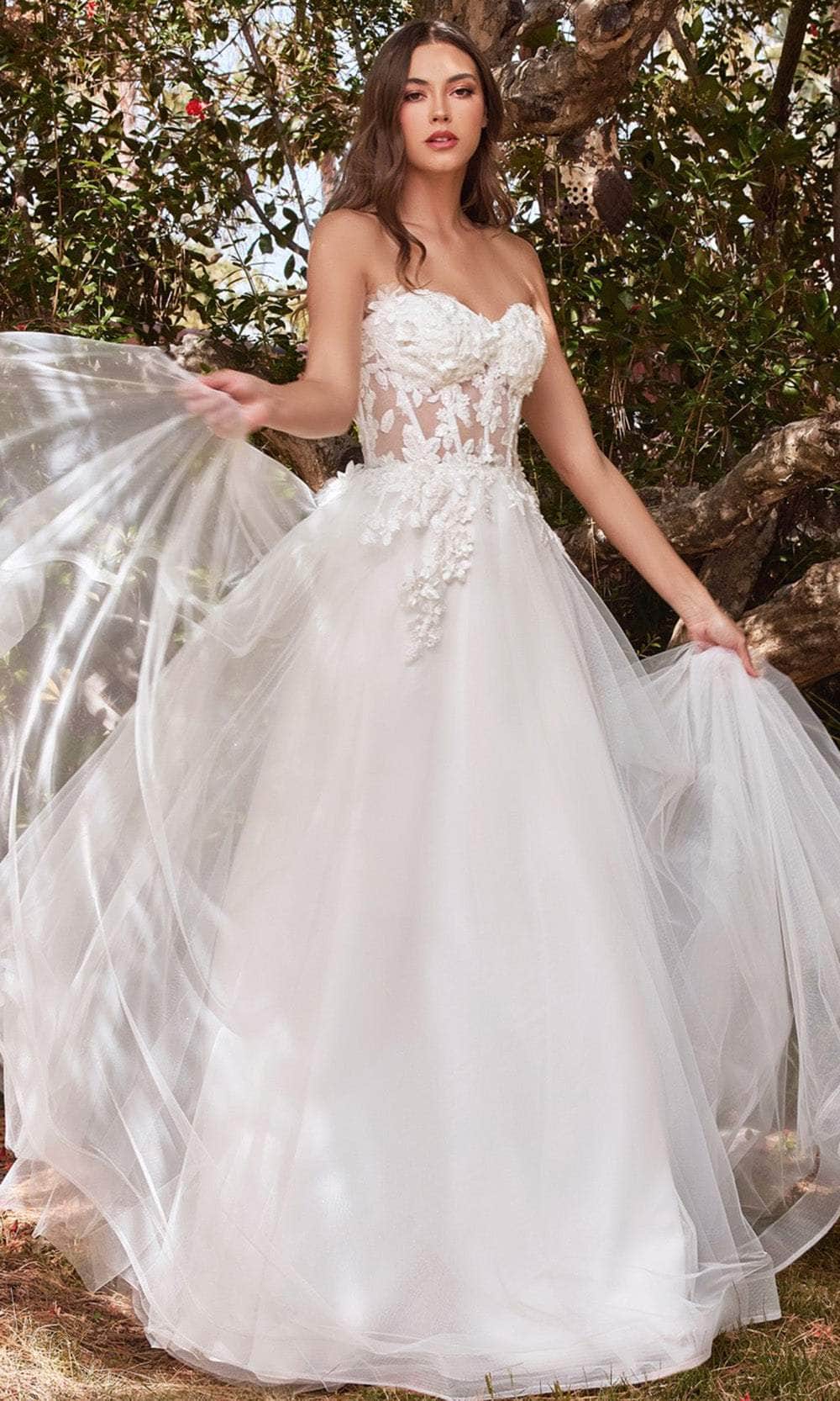 Cinderella Divine CD962W - Lace Tulle Wedding Ballgown Wedding Dresses
