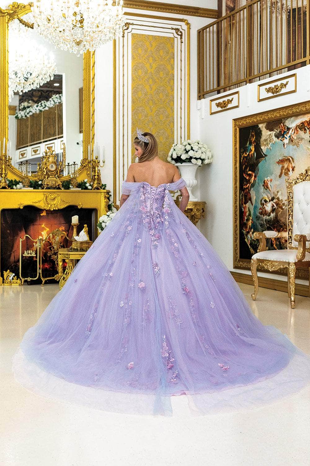 Dancing Queen 5012 - Floral Illusion Sweetheart Neckline Gown Quinceanera Dresses