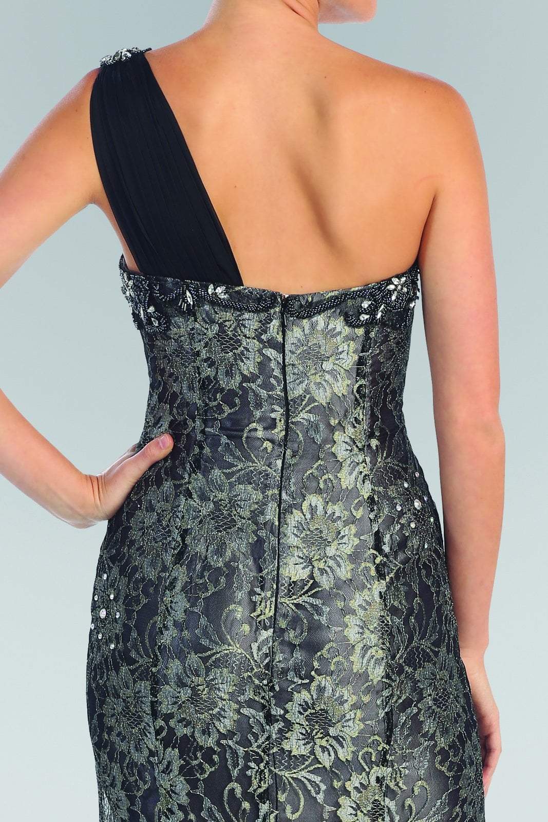 Elizabeth K - GL1000 One Shoulder Lace Dress with Chiffon Overlay Special Occasion Dress