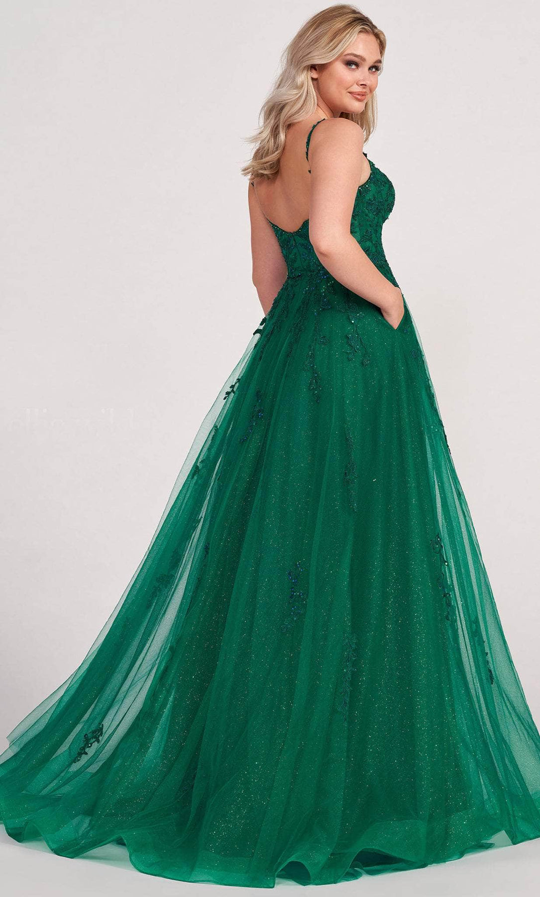 Ellie Wilde EW34116 - Embroidered Sleeveless A line Prom Dress Prom Dresses