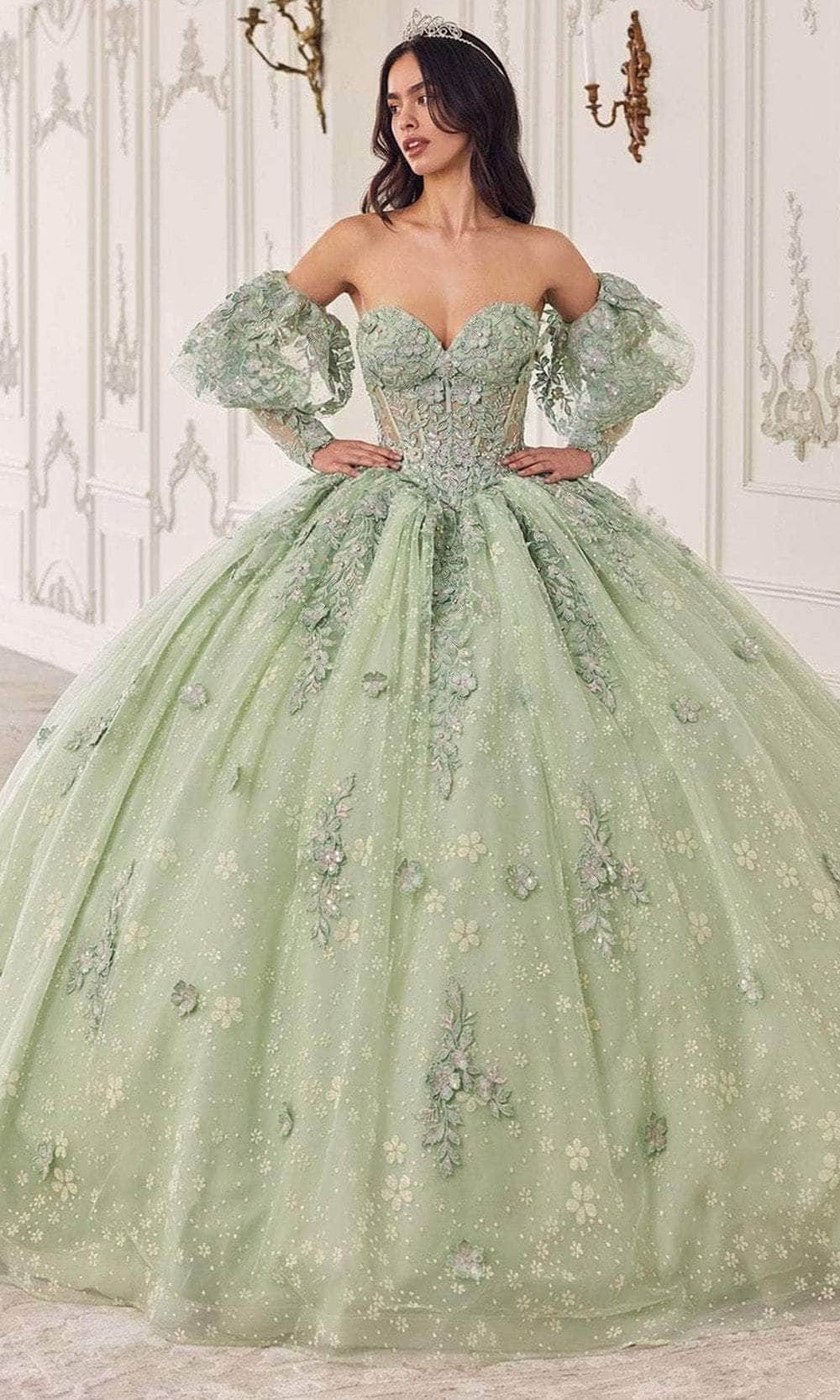 ladivine 15722 - applique sleeve ballgown Special Occasion Dresses Dresses XXS /  Sage