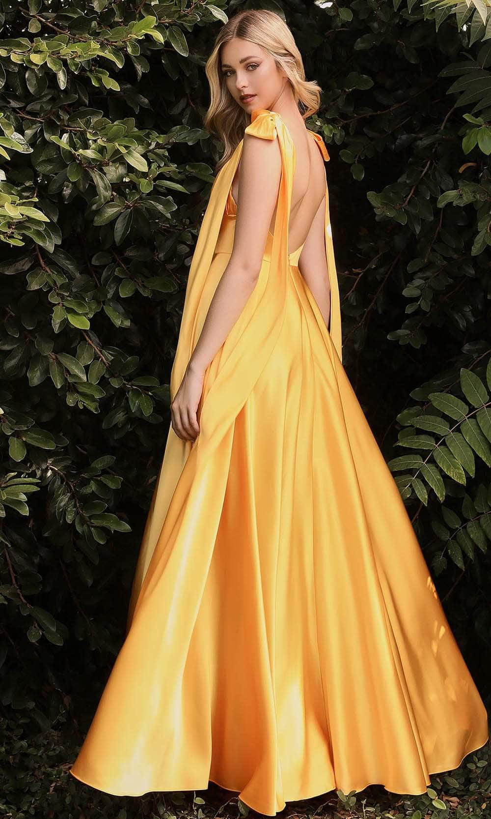 Ladivine 7490 Prom Dresses