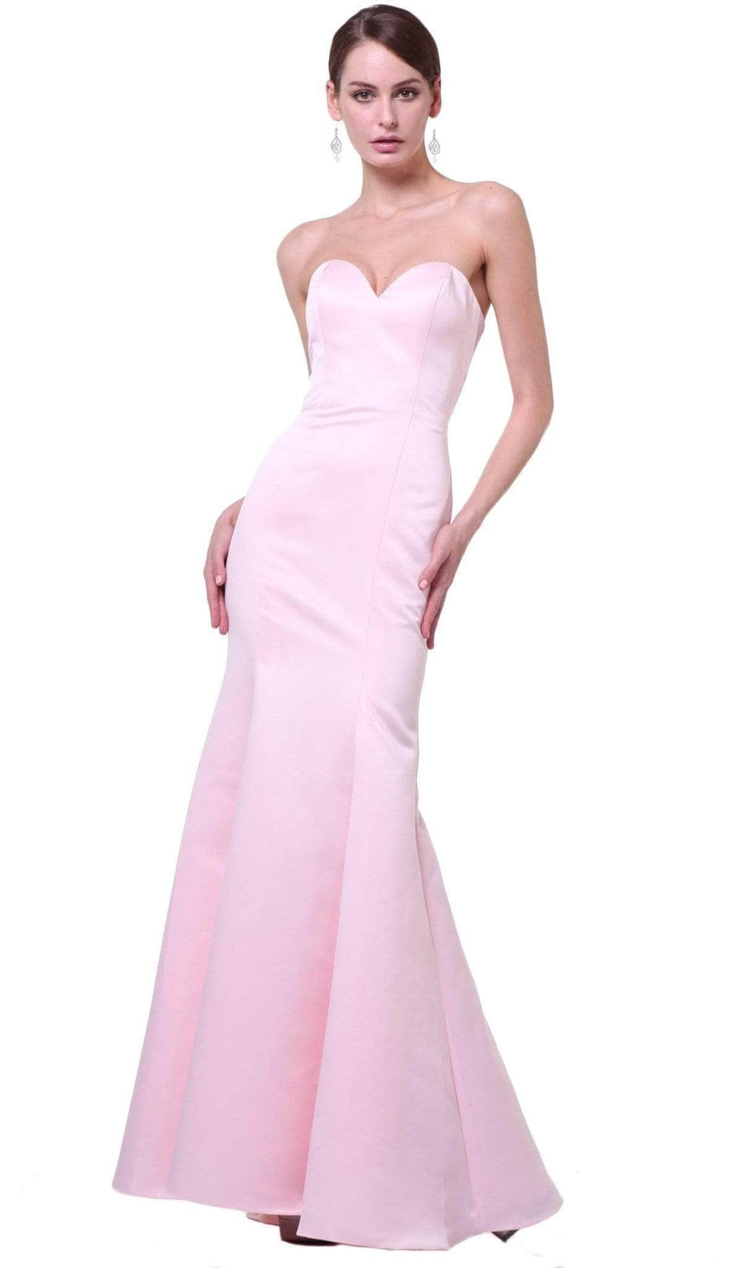 Ladivine 8792 Special Occasion Dress 2 / Blush