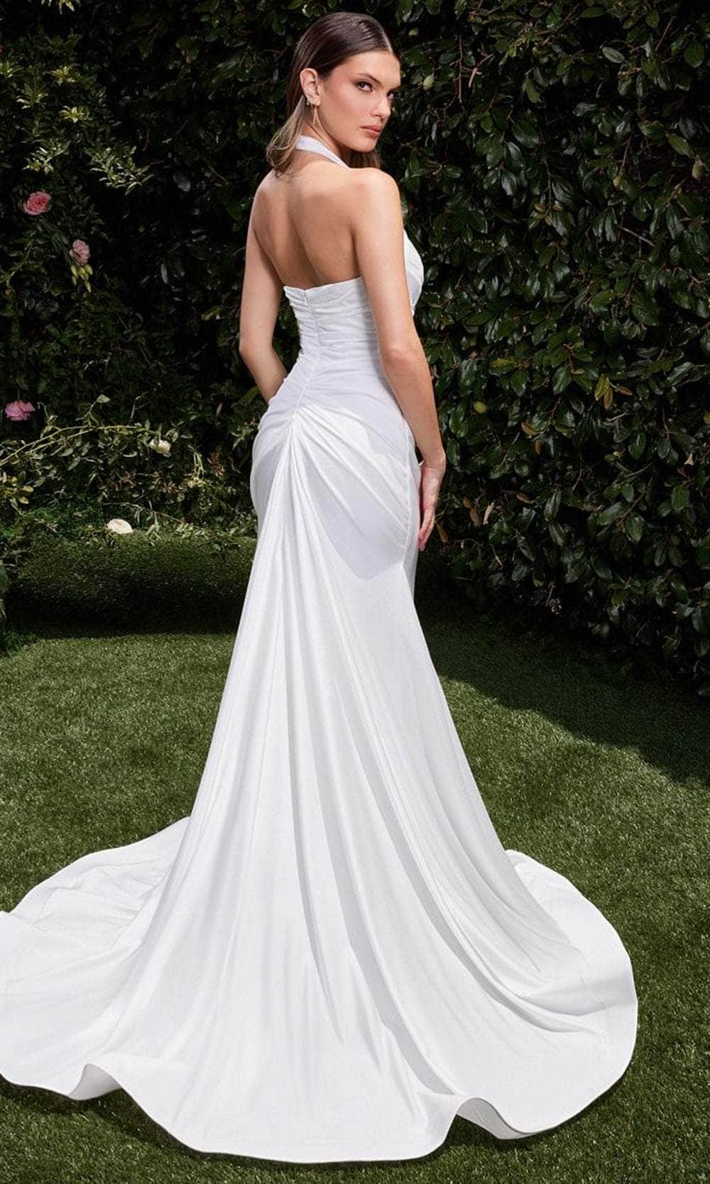 Ladivine Bridal CD796W - Fitted Halter Bridal Dress