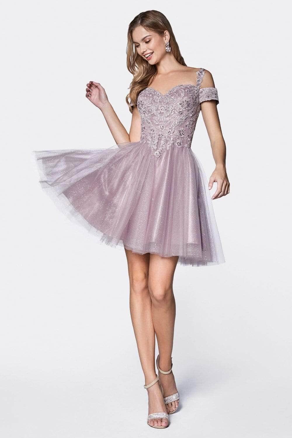 Ladivine CD0132 Cocktail Dresses XS / Mauve