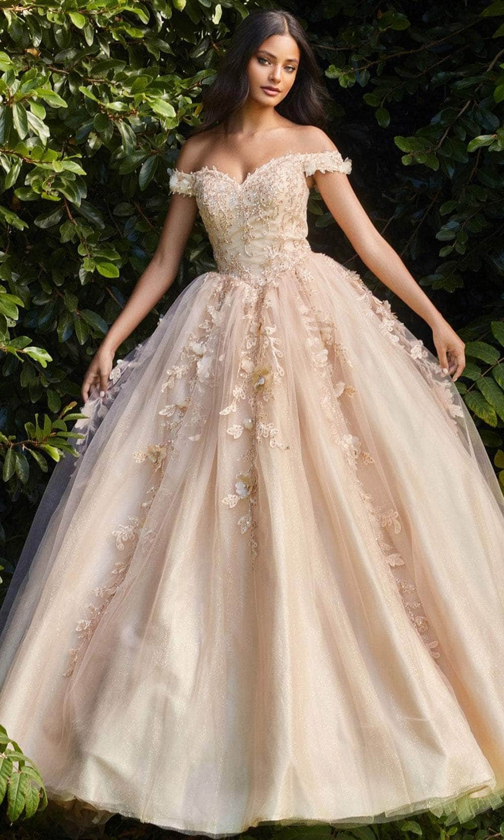 Ladivine CD0185 Evening Dresses XXS / Champagne