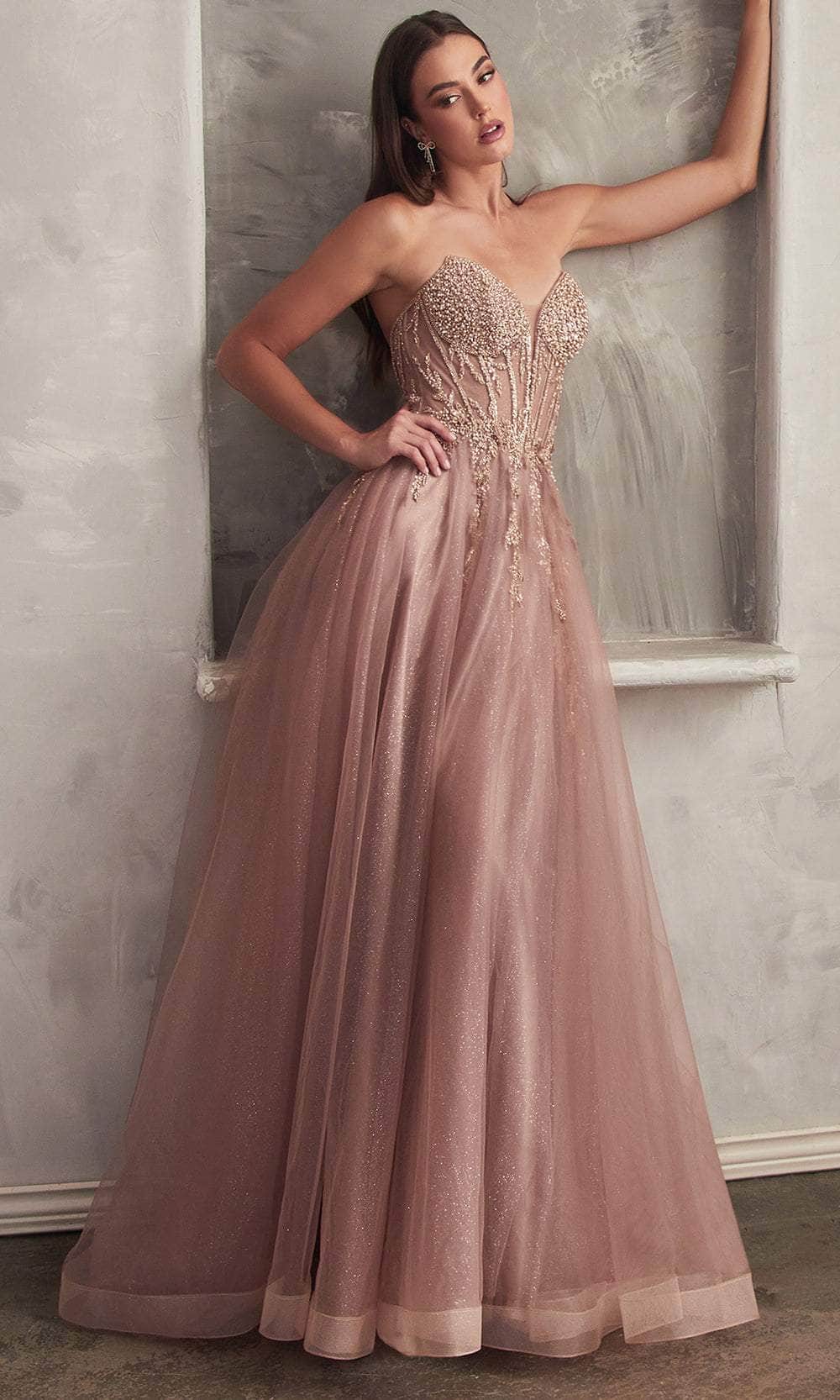 Ladivine CD0230 - Strapless A-Line Prom Gown Special Occasion Dresses