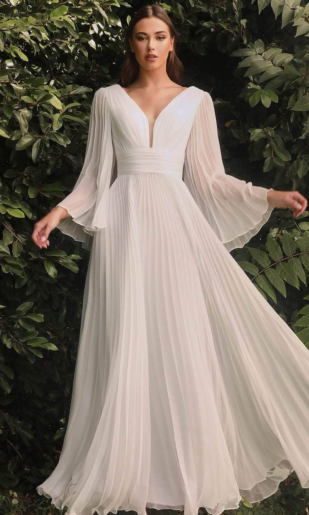 Ladivine CD242W Bridal Dresses