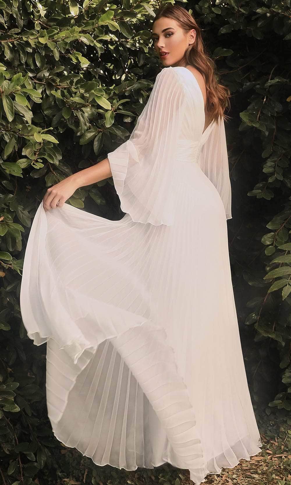 Ladivine CD242W Bridal Dresses