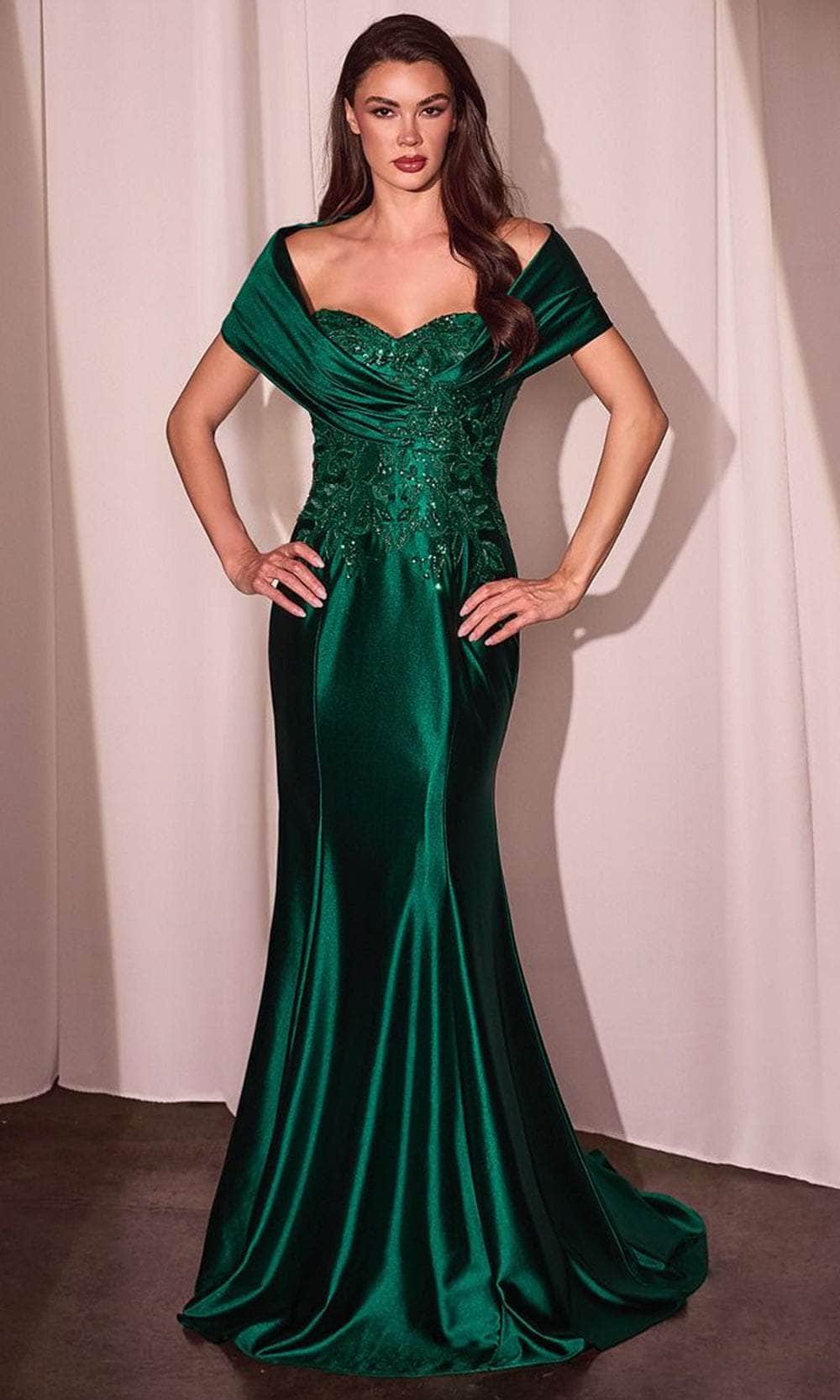 Ladivine CDS507 - Applique Bodice Evening Gown