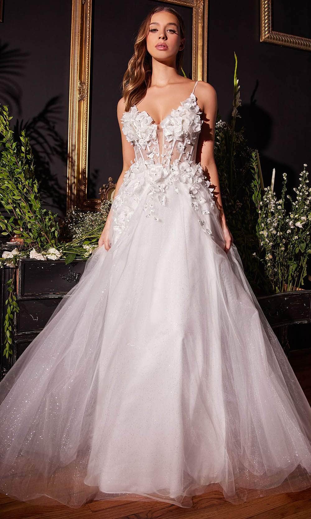 Cinderella Divine CM321W