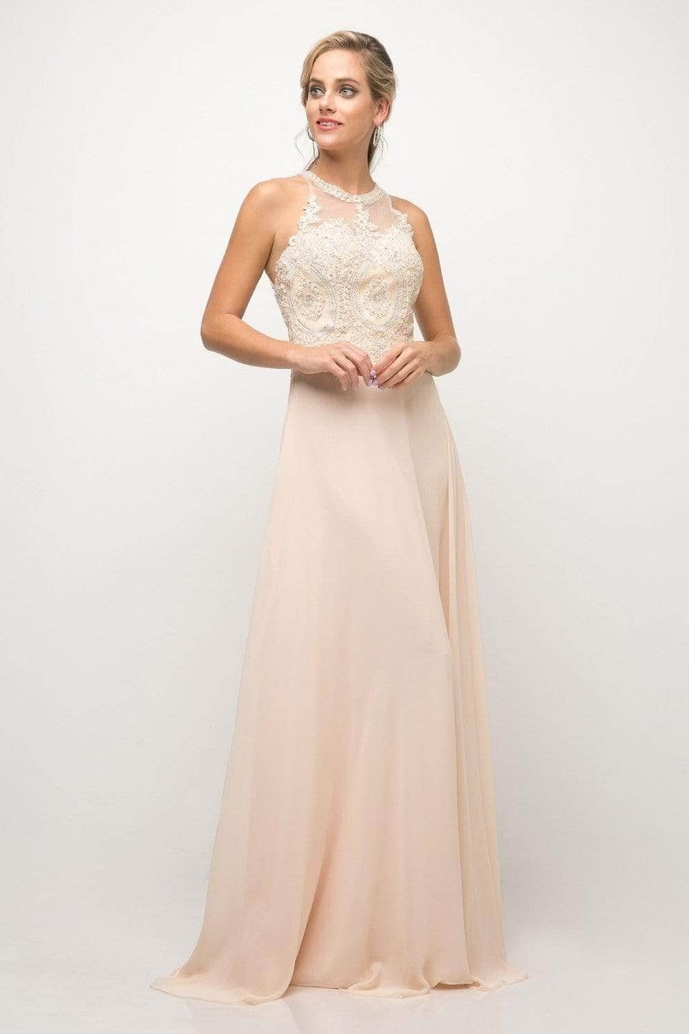 Ladivine UJ0120 Prom Dresses XXS / Champagne
