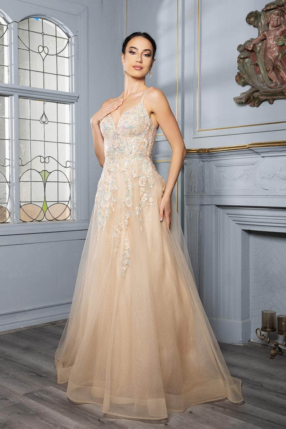 May Queen MQ2165 - Long Tulle A-line Dress - Floral Embroidery, Beaded Accents, Spaghetti Straps, Layered Skirt, Lace-Up Back 10 / Champagne May Queen MQ2165 - Long Tulle A-line Dress - Floral Embroidery, Beaded Accents, Spaghetti Straps, Layered Skirt, Lace-Up Back 10 / Champagne