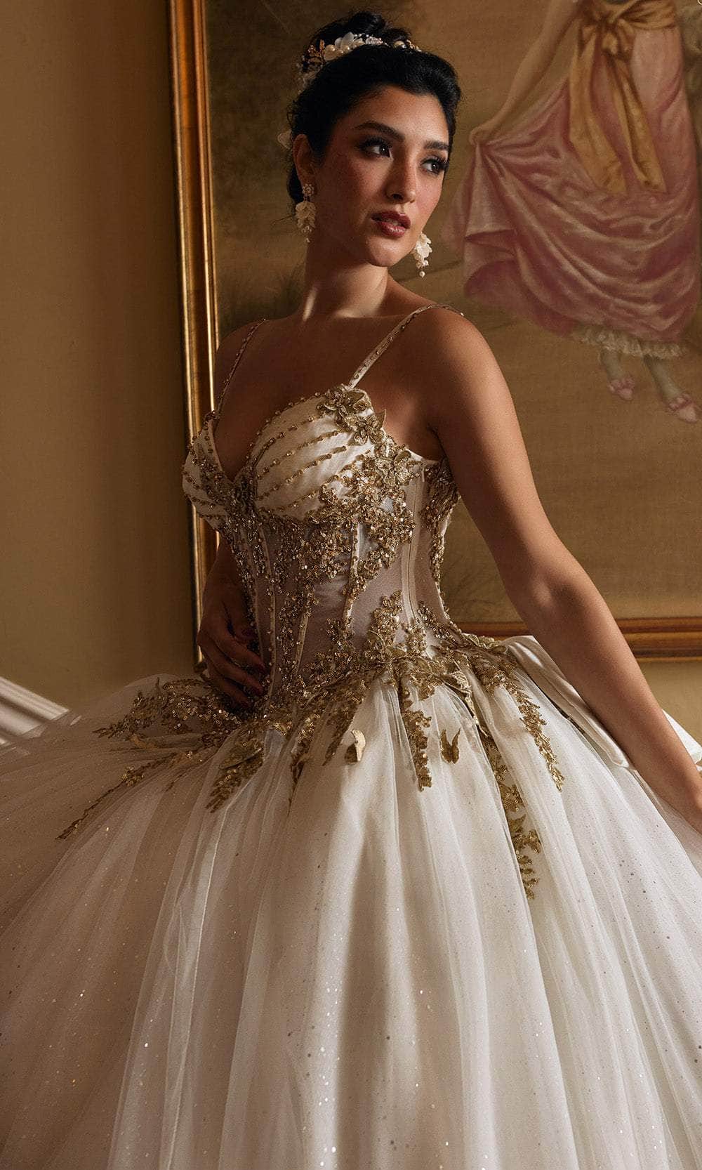 Rachel Allan RQ1158 - Butterfly Embellished Sweetheart Ballgown Ball Gowns