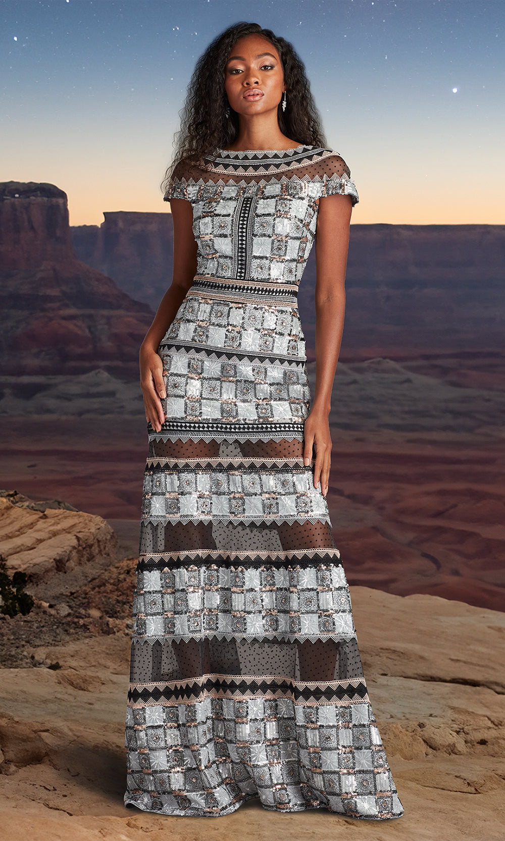 Tadashi Shoji CHH25334L - Bateau Jovie Sequin Embroidered Illusion Gown Formal Gowns