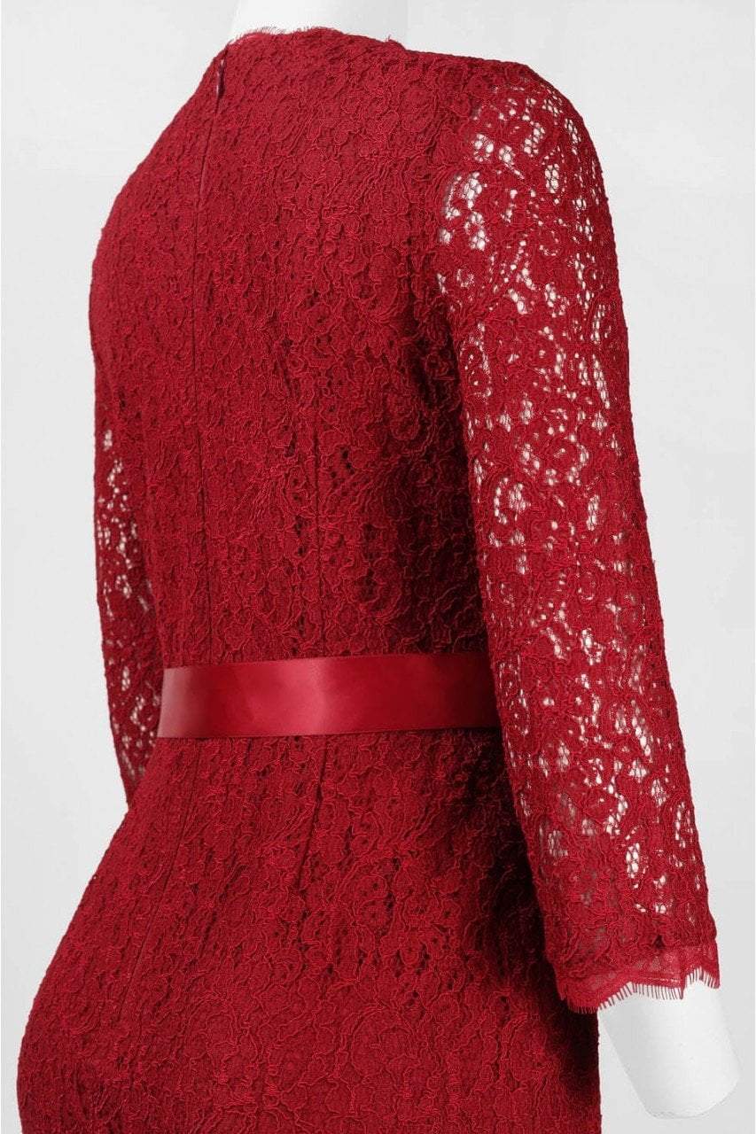 Adrianna Papell - 41910400SC English Lace Scalloped Dress with Tie