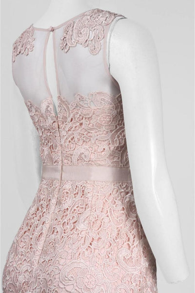 Aidan Mattox - Lace Long Dress 251706210 in Pink