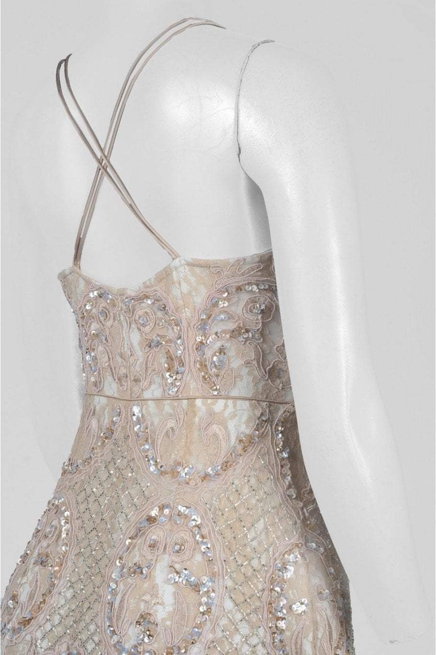 Aidan Mattox - MD1E200658 Ornate Embroidered Lace Gown in Pink