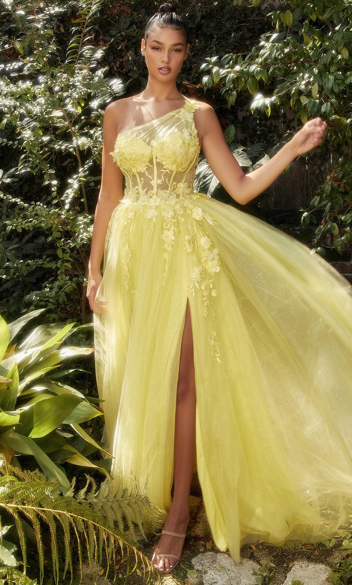 Andrea and Leo A1140 - Long A-Line Dress - Sleeveless, Sheer Boned Bodice, 3D Butterfly ...