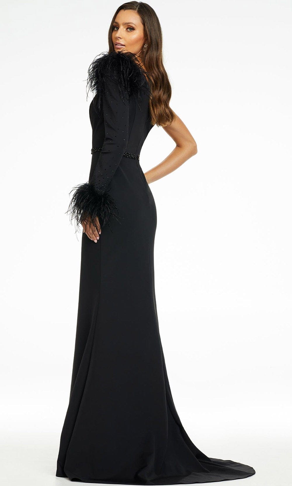 Ashley Lauren - 11131 Feather Detail Long Sleeve Gown In Black