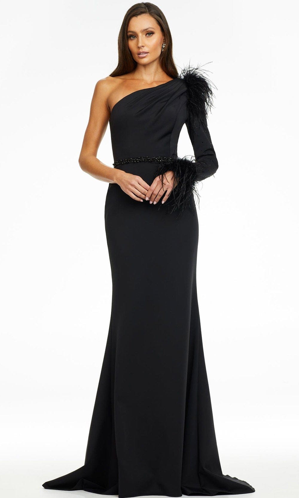 Ashley Lauren - 11131 Feather Detail Long Sleeve Gown In Black