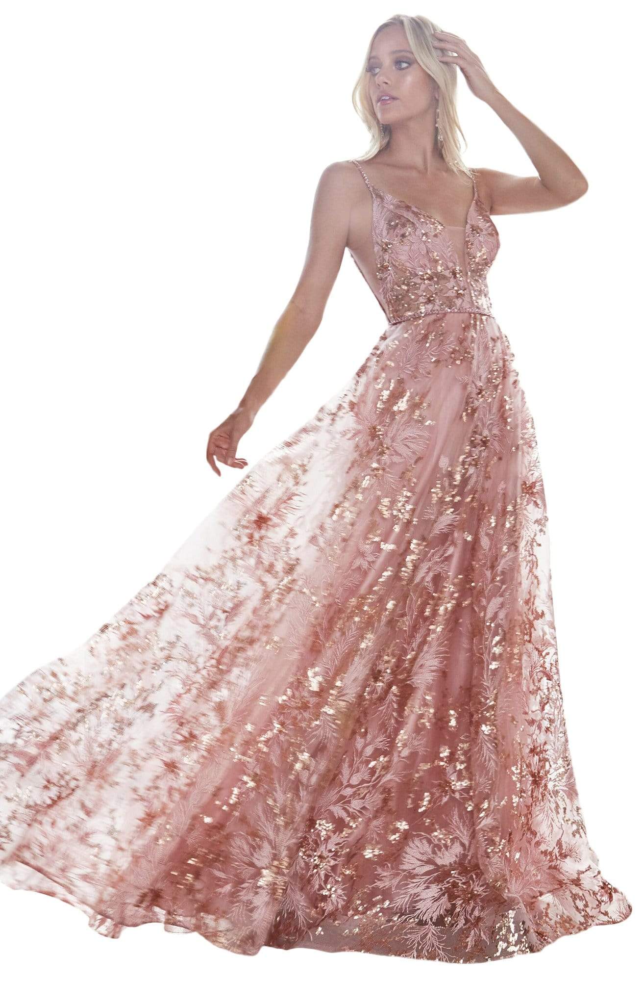 Cinderella Divine - CB048 Embroidered Deep V-neck A-line Dress Evening Dresses