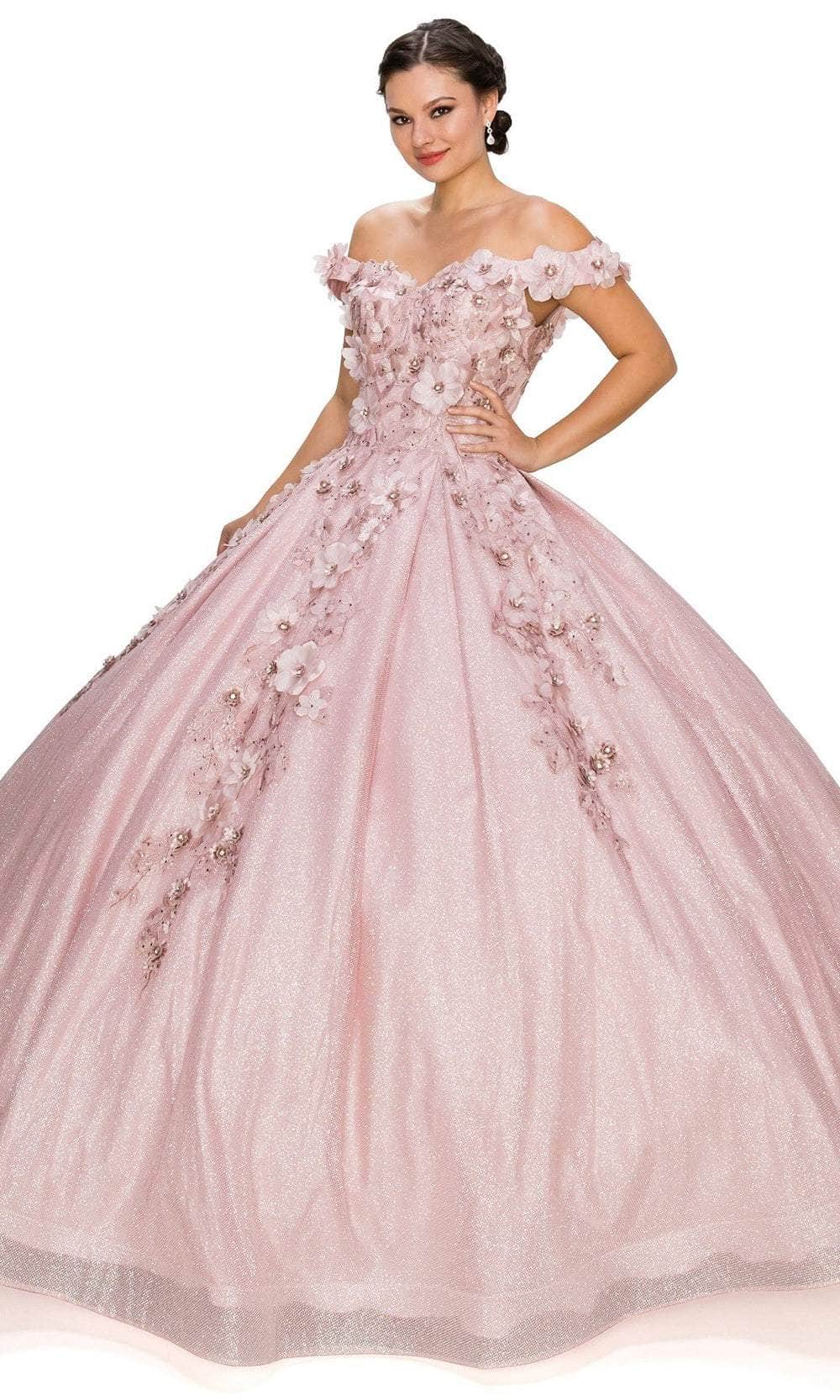 Cinderella Couture 8020J - 3D Floral Appliqued Ballgown Special Occasion Dress XS / Dusty Rose