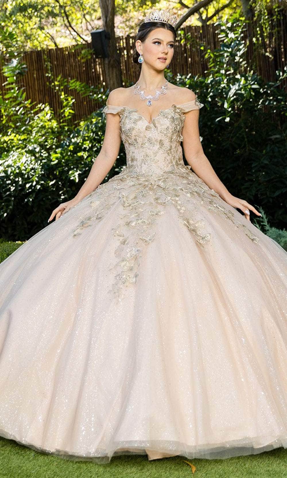 Cinderella Couture 8046J - Butterfly Embroidered Ballgown Special Occasion Dress XS / Champagne