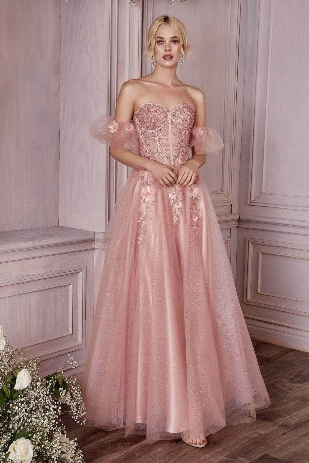 Cinderella Divine - Corset Dress CD0191 Cinderella Divine - Corset Dress CD0191