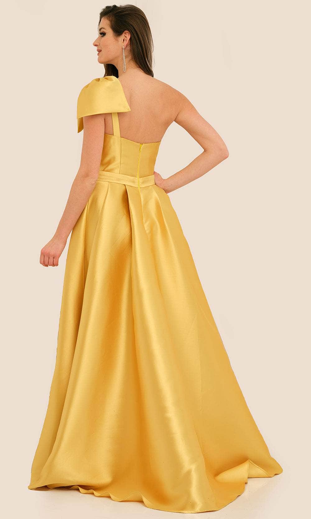 Dave & Johnny 11337 - Pleated A-Line Formal Gown Special Occasion Dress