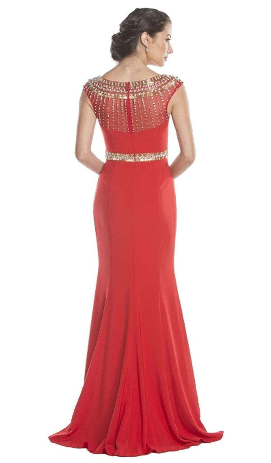Embellished Illusion Bateau Neck Evening Dress Dress