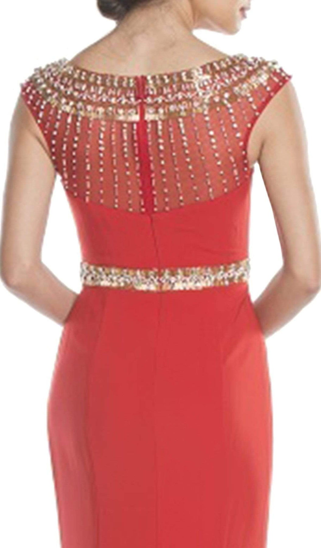 Embellished Illusion Bateau Neck Evening Dress Dress
