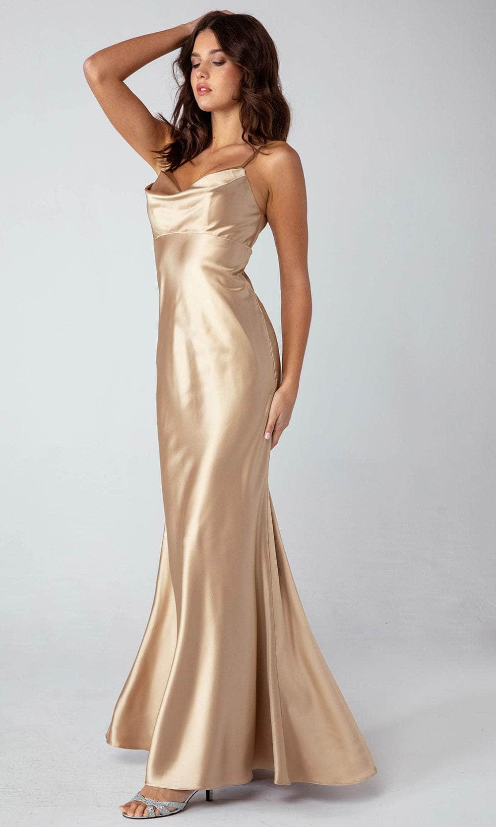 Eureka Fashion 9711 - Cowl Neck Empire Evening Dress Evening  Dresses