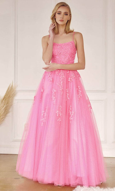 Juliet Dresses 260 - Applique Tulle Prom Dress Special Occasion Dress XS / Hot Pink